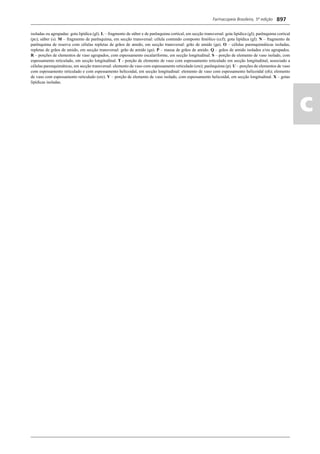 Farmacopeia 5 edição