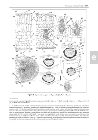 Farmacopeia 5 edição
