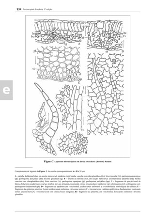 Farmacopeia 5 edição