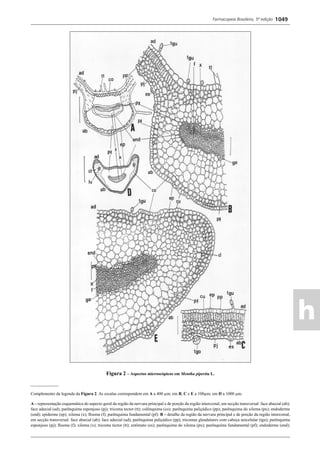 Farmacopeia 5 edição