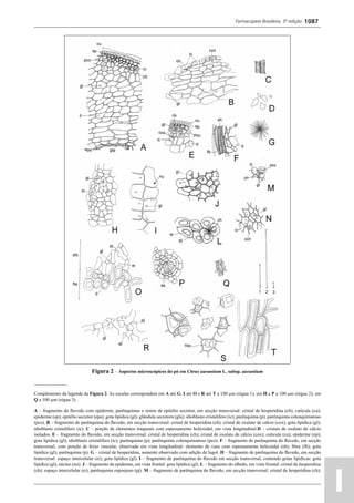 Farmacopeia 5 edição