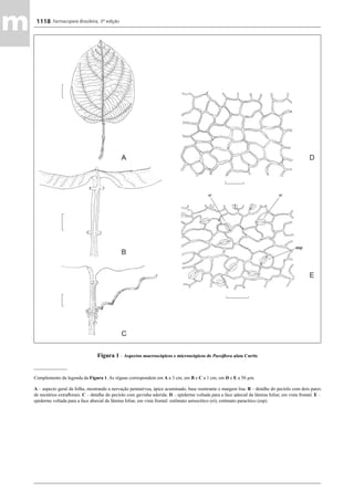 Farmacopeia 5 edição