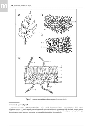 Farmacopeia 5 edição