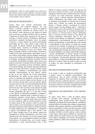 Farmacopeia 5 edição