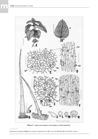 Farmacopeia 5 edição