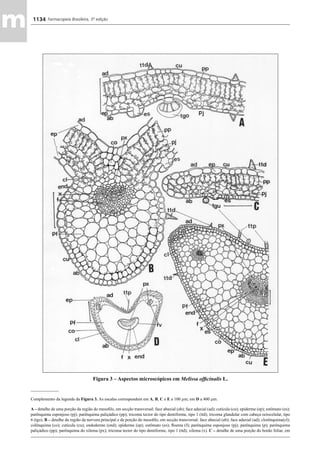 Farmacopeia 5 edição