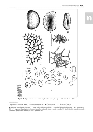 Farmacopeia 5 edição