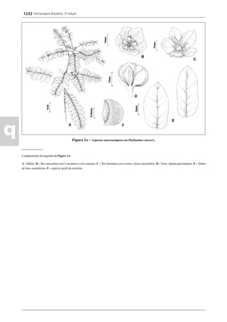 Farmacopeia 5 edição
