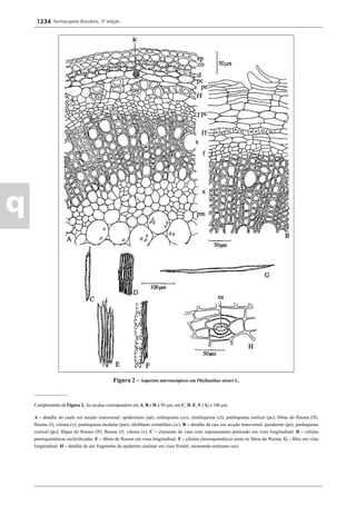 Farmacopeia 5 edição