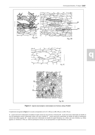 Farmacopeia 5 edição