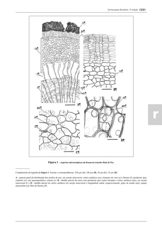Farmacopeia 5 edição