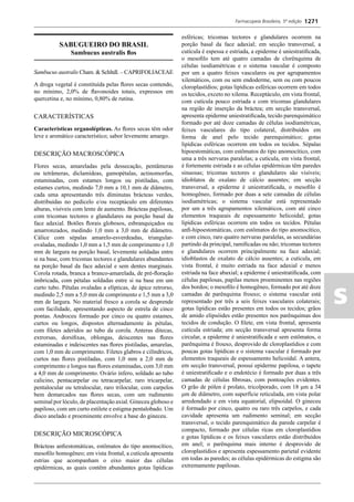 Farmacopeia 5 edição