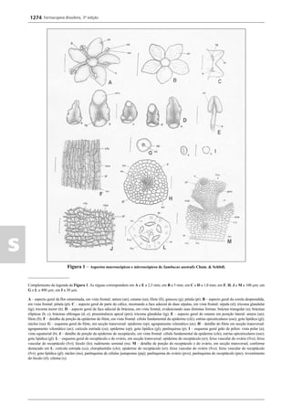 Farmacopeia 5 edição