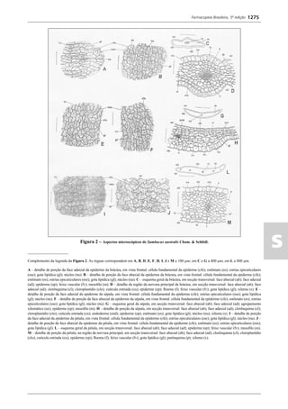 Farmacopeia 5 edição