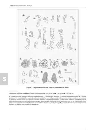 Farmacopeia 5 edição