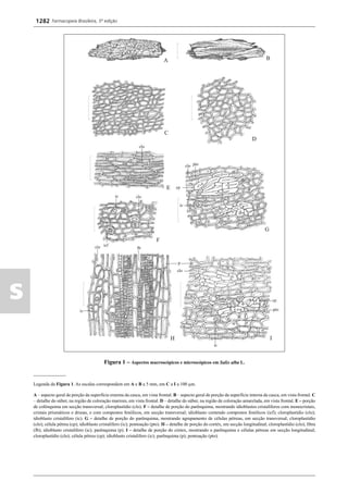 Farmacopeia 5 edição
