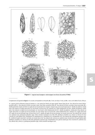 Farmacopeia 5 edição