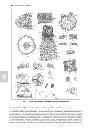 Farmacopeia 5 edição