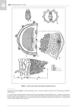Farmacopeia Brasileira, 5ª edição
aa 640
Figura 1 – Aspectos macroscópicos e microscópicos de Pimpinella anisum L.
______________
Complemento da legenda da Figura 1. As escalas correspondem em A a 1 cm (régua 1); em B a 2 cm (régua 2); em C a 500 μm (régua 4); em D e E a
100 μm (régua 3).
A – aspecto do diaquênio (esquizocarpo). B – esquema da secção transversal do diaquênio segundo assinalado em A. C – esquema da secção transversal
em um dos mericarpos: canal esquizógeno (e); oco (o); semente (se). D – detalhe da região comissural segundo assinalado em C. E – detalhe de porção
do fruto e semente segundo assinalado em C. F – secção do pericarpo do fruto: endocarpo (ed); epicarpo (ep); mesocarpo (m). S – secção da porção
externa da semente: endosperma (en); tegumento (t).
Volume 2_18_07_11.indd 640Volume 2_18_07_11.indd 640 18/07/2011 09:26:3018/07/2011 09:26:30
 
