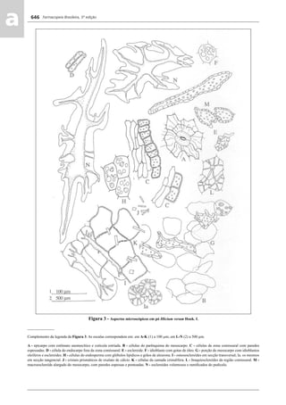 Farmacopeia Brasileira, 5ª edição
aa 646
Figura 3 - Aspectos microscópicos em pó Illicium verum Hook. f.
______________
Complemento da legenda da Figura 3. As escalas correspondem em: em A-K (1) a 100 μm; em L-N (2) a 500 μm.
A - epicarpo com estômato anomocítico e cutícula estriada. B - células do parênquima do mesocarpo. C - células da zona comissural com paredes
espessadas. D - célula do endocarpo fora da zona comissural. E - esclereide. F - idioblasto com gotas de óleo. G - porção do mesocarpo com idioblastos
oleíferos e esclereides. H - células do endosperma com glóbulos lipídicos e grãos de aleurona. I - osteoesclereídes em secção transversal; Ia. os mesmos
em secção tangencial. J - cristais prismáticos de oxalato de cálcio. K - células da camada cristalífera. L - braquiesclereídes da região comissural. M -
macroesclereíde alargado do mesocarpo, com paredes espessas e pontoadas. N - esclereídes volumosos e ramiﬁcados do pedicelo.
Volume 2_18_07_11.indd 646Volume 2_18_07_11.indd 646 18/07/2011 09:26:3218/07/2011 09:26:32
 