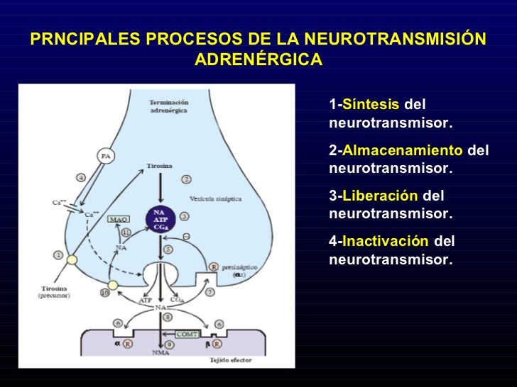 Farmaco receptores