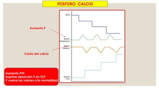 Aumento P
Caída del calcio
Aumento PTH
Suprime absorción P en TCP
Y vuelve los valores a la normalidad
FOSFORO CALCIO
 