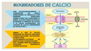 SON CALCIOANTAGONISTAS Y
CONSTITUYEN UN GRUPO
HETEROGÉNEO DE FÁRMACOS CON
DIFERENTE ESTRUCTURA
QUÍMICA,PERO QUE COMPARTEN LA
MISMA ACCIÓN FARMACOLÓGICA:
BLOQUEAN LA ENTRADA DE CALCIO
A LA CÉLULA BLOQUEANDO LOS
CANALES DE CALCIO DEPENDIENTES
DE VOLTAJE TIPO L .
DEBIDO A QUE EL CALCIO
INTERVIENE EN MUCHOS PROCESOS
CARDIOVASCULARES (EXCITACIÓN,
CONDUCCIÓN,
ACOPLAMIENTO,ACTIVIDAD DE
MARCAPASOS,VASODILATACIÓN,
ETC), TAMBIÉN TIENE ESTE FÁRMACO
ACTIVIDAD TERAPÉUTICA
CARDIOVASCULAR.
 