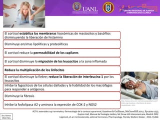 Farmacocinética y Farmacodinamia de los corticosteroides | PDF
