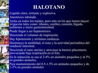 HALOTANO
• Líquido claro, irritante y explosivo.
• Anestésico inhalado.
• Actúa en todos los tejidos, pero más en los que tienen mayor
irrigación tales como: riñones, cerebro, corazón, hígado,
pulmones y tracto gastrointestinal.
• Puede llegar a ser hepatotóxico.
• Desciende el volumen de inspiración.
• Hay hipotensión y arritmias cardiacas.
• Disminuye la motilidad, el tono y la actividad peristáltica del
conducto intestinal.
• Desciende el tono uterino y atraviesa la barrera placentaria
provocando baja respiración en el feto.
• En la inducción se usa al 2-4% en animales pequeños y al 5%
en grandes animales.
• Para mantenimiento del 0.5-1.5% en animales pequeños y de
1-2% en grandes animales
 