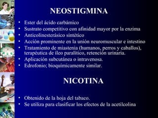 NEOSTIGMINA
• Ester del ácido carbámico
• Sustrato competitivo con afinidad mayor por la enzima
• Anticolinesterásico sintético
• Acción prominente en la unión neuromuscular e intestino
• Tratamiento de miastenia (humanos, perros y caballos),
terapéutica de íleo paralítico, retención urinaria.
• Aplicación subcutánea o intravenosa.
• Edrofonio; bioquímicamente similar.
NICOTINA
• Obtenido de la hoja del tabaco.
• Se utiliza para clasificar los efectos de la acetilcolina
 