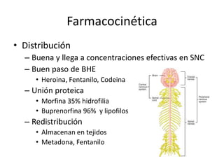 Farmacocinética
• Distribución
  – Buena y llega a concentraciones efectivas en SNC
  – Buen paso de BHE
     • Heroina, Fentanilo, Codeina
  – Unión proteica
     • Morfina 35% hidrofilia
     • Buprenorfina 96% y lipofilos
  – Redistribución
     • Almacenan en tejidos
     • Metadona, Fentanilo
 