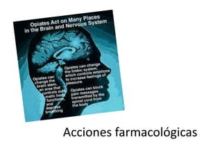 Acciones farmacológicas
 