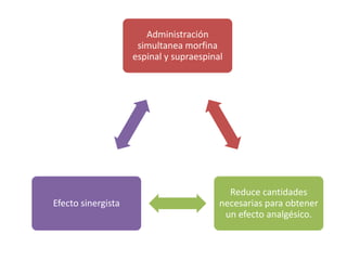Administración
                     simultanea morfina
                    espinal y supraespinal




                                           Reduce cantidades
Efecto sinergista                        necesarias para obtener
                                          un efecto analgésico.
 