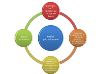 presentes
                 los 3
             subtipos de
              receptores
                 (μδк)




                                    Admon de
                                  agonistas μ o δ
  Núcleo        Efectos            = liberación
accumbens   psicomimeticos          dopamina y
                                  activa circuitos
                                  de recompensa




                 Admon de
              agonistas к o μ
               (naloxona) =
             Reduce liberación
                     de
             neurotransmisor,
             efectos aversivos.
 