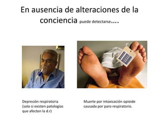 En ausencia de alteraciones de la
     conciencia puede detectarse….




Depresión respiratoria        Muerte por intoxicación opioide
(solo si existen patologías   causada por paro respiratorio.
que afecten la d.r)
 