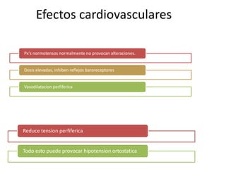Efectos cardiovasculares

Px’s normotensos normalmente no provocan alteraciones.


Dosis elevadas, inhiben reflejos baroreceptores


Vasodilatacion perfiferica




Reduce tension perfiferica


Todo esto puede provocar hipotension ortostatica
 