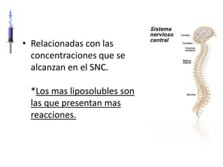 • Relacionadas con las
  concentraciones que se
  alcanzan en el SNC.

 *Los mas liposolubles son
 las que presentan mas
 reacciones.
 