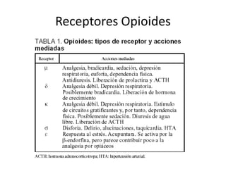 Receptores Opioides
 