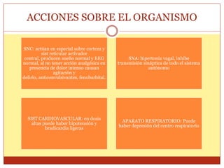 ACCIONES SOBRE EL ORGANISMO
SNC: actúan en especial sobre corteza y
sist reticular activador
central, producen sueño normal y EEG
normal, al no tener acción analgésica en
presencia de dolor intenso causan
agitación y
delirio, anticonvulsivantes, fenobarbital.
SNA: hipertonía vagal, inhibe
transmisión sináptica de todo el sistema
autónomo
SIST CARDIOVASCULAR: en dosis
altas puede haber hipotensión y
bradicardia ligeras
APARATO RESPIRATORIO: Puede
haber depresión del centro respiratorio
 
