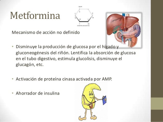 Farmacos Antdiabeticos Farmacos Antdiabeticos