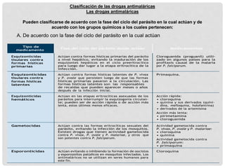 Clasificación de las drogas antimaláricas
Las drogas antimaláricas
Pueden clasificarse de acuerdo con la fase del ciclo del parásito en la cual actúan y de
acuerdo con los grupos químicos a los cuales pertenecen:
A. De acuerdo con la fase del ciclo del parásito en la cual actúan
Tipo de
medicamento
Fase del ciclo del parásito donde actúan Medicamentos
Esquizonticidas
tisulares contra
formas hísticas
primarias
Actúan contra formas hísticas primarias del parásito
a nivel hepático, evitando la maduración de los
esquizontes hepáticos en el ciclo preeritrocítico
para luego dar lugar a la etapa eritrocítica de la
infección.
Cloroguanida (proguanil) utili-
zado en algunos países para la
profilaxis causal de la malaria
por P. falciparum.
Esquizonticidas Actúan contra formas hísticas latentes de P. vivax Primaquina.
tisulares contra y P. ovale que persisten luego de que las formas
formas hísticas
latentes
hísticas primarias pasaron a la circulación. Las
formas hísticas latentes son las responsables
de recaídas que pueden aparecer meses o años
después de la infección inicial.
Esquizonticidas
hemáticos
Actúan en las etapas eritrocíticas asexuadas de los
parásitos para interrumpir la esquizogonia circulan-
te; pueden ser de acción rápida o de acción más
lenta, estos últimos menos eficaces.
Acción rápida:
• cloroquina
• quinina y sus derivados (quini-
dina, mefloquina, holofantrina)
• derivados de la artemisina
Acción más lenta:
• pirimetamina
• cloroguanida
Gametocidas Actúan contra las formas eritrocíticas sexuales del
parásito, evitando la infección de los mosquitos.
Existen drogas que tienen actividad gametocida
contra P. vivax, P. ovale y P. malariae, y otros que
son potentes contra P. falciparum.
Actividad gametocida contra
P. vivax, P. ovale y P. malariae:
• cloroquina
• quinina
Actividad gametocida contra
P. falciparum:
• primaquina
Esporonticidas Actúan evitando o inhibiendo la formación de oocistos
y esporozoítos palúdicos en mosquitos infectados. Los
antimaláricos no se utilizan en seres humanos para
este fin.
Cloroquina
 