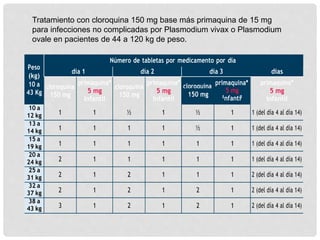 Peso
(kg)
10 a
43 Kg
Número de tabletas por medicamento por día
día 1 día 2 día 3 días
cloroquina
150 mg
1
primaquina*
5 mg
Infantil
1
cloroquina
150 mg
½
primaquina*
5 mg
Infantil
1
cloroquina primaquina*
150 mg
I
5 mg
l
nfanti
primaquina*
5 mg
Infantil
1 (del día 4 al día 14)
10 a
½ 1
12 kg
13 a
1 1 1 1 ½ 1 1 (del día 4 al día 14)
14 kg
15 a
1 1 1 1 1 1 1 (del día 4 al día 14)
19 kg
20 a
2 1 1 1 1 1 1 (del día 4 al día 14)
24 kg
25 a
2 1 2 1 1 1 2 (del día 4 al día 14)
31 kg
32 a
2 1 2 1 2 1 2 (del día 4 al día 14)
37 kg
38 a
3 1 2 1 2 1 2 (del día 4 al día 14)
43 kg
Tratamiento con cloroquina 150 mg base más primaquina de 15 mg
para infecciones no complicadas por Plasmodium vivax o Plasmodium
ovale en pacientes de 44 a 120 kg de peso.
 