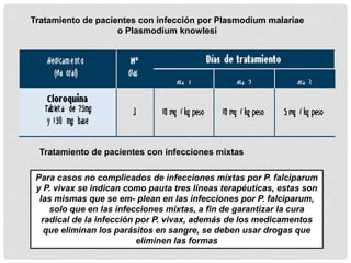 Tratamiento de pacientes con infección por Plasmodium malariae
o Plasmodium knowlesi
Tratamiento de pacientes con infecciones mixtas
Para casos no complicados de infecciones mixtas por P. falciparum
y P. vivax se indican como pauta tres líneas terapéuticas, estas son
las mismas que se em- plean en las infecciones por P. falciparum,
solo que en las infecciones mixtas, a fin de garantizar la cura
radical de la infección por P. vivax, además de los medicamentos
que eliminan los parásitos en sangre, se deben usar drogas que
eliminen las formas
 