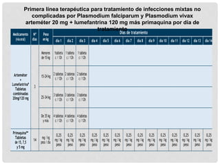 Medicamento
(víaoral)
Nº
días
Peso
enkg
Días de tratamiento
día 1 día 2 día 3 día 4 día 5 día 6 día 7 día 8 día 9 día 10 día11 día 12 día 13 día 14
Arteméter
+
Lumefantrina*
Tabletas
combinadas
20mg/120 mg
3
Menores
de15kg
1tableta
c / 12h
1 tableta
c / 12h
1 tableta
c / 12h
15-24 kg
2 tabletas
c / 12h
2 tabletas
c / 12h
2 tabletas
c / 12h
25-34 kg
3 tabletas
c / 12h
3 tabletas
c / 12h
3 tabletas
c / 12h
De 35 kg
y más
4 tabletas
c / 12h
4 tabletas
c / 12h
4 tabletas
c / 12h
Primaquina**
Tabletas
de 15, 7,5
y 5 mg
14
mg / kg
peso / día
0,25
mg / kg
peso
0,25
mg / kg
peso
0,25
mg / kg
peso
0,25
mg / kg
peso
0,25
mg / kg
peso
0,25
mg / kg
peso
0,25
mg / kg
peso
0,25
mg / kg
peso
0,25
mg / kg
peso
0,25
mg / kg
peso
0,25
mg / kg
peso
0,25
mg / kg
peso
0,25
mg / kg
peso
0,25
mg / kg
peso
Primera línea terapéutica para tratamiento de infecciones mixtas no
complicadas por Plasmodium falciparum y Plasmodium vivax
arteméter 20 mg + lumefantrina 120 mg más primaquina por día de
tratamiento
 