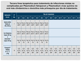 Medicamento
(víaoral)
Nº
días
Días de tratamiento
día1 día2 día3 día4 día5 día6 día7 día8 día9 día 10 día11 día 12 día 13 día 14
Quinina Sulfato
Tabletas de
300 y 500 mg
7
10mg /kg
cada8h
10mg /kg
cada8h
10mg/kg
cada8h
10mg /kg
cada8h
10mg /kg
cada8h
10mg/kg
cada8h
10mg /kg
cada8h
Con Clindamicina
Cápsula 300 mg
ó
Doxiciclina*
Cápsula 100 mg
7
10mg/ kg
cada12 h
10mg/ kg
cada12 h
10mg/kg
cada12 h
10mg/ kg
cada12 h
10mg/kg
cada12 h
10mg/ kg
cada12 h
10mg/ kg
cada12 h
4 mg / kg
/ día
4 mg / kg
/ día
4 mg / kg
/ día
4 mg / kg
/ día
4 mg / kg
/ día
4 mg / kg
/ día
4 mg / kg
/ día
Primaquina**
Tabletas
de 15, 7,5
y5mg
14
0,25
mg/kg
peso
0,25
mg/kg
peso
0,25
mg/kg
peso
0,25
mg/kg
peso
0,25
mg/kg
peso
0,25
mg/kg
peso
0,25
mg/kg
peso
0,25
mg/kg
peso
0,25
mg/kg
peso
0,25
mg/kg
peso
0,25
mg/kg
peso
0,25
mg/kg
peso
0,25
mg/kg
peso
0,25
mg/kg
peso
Tercera línea terapéutica para tratamiento de infecciones mixtas no
complicadas por Plasmodium falciparum y Plasmodium vivax quinina via
oral más clindamicina o doxicilina más primaquina por día de tratamiento.
 