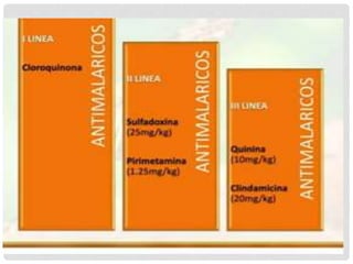 FARMACOS ANTI-MALARICOS 2.pptx