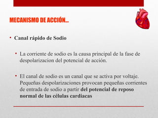 MECANISMO DE ACCIÓN…
• Canal rápido de Sodio
• La corriente de sodio es la causa principal de la fase de
despolarizacion del potencial de acción.
• El canal de sodio es un canal que se activa por voltaje.
Pequeñas despolarizaciones provocan pequeñas corrientes
de entrada de sodio a partir del potencial de reposo
normal de las células cardiacas
 