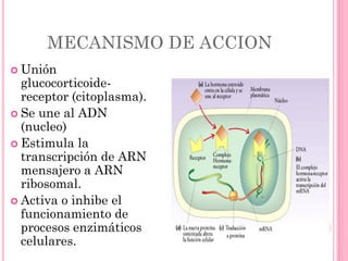 MECANISMO DE ACCION
 Inhiben las cascada
araquidonica.
 Inhibe la formacion de
autocosanoides
presentes en el
proceso in...
