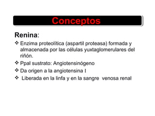 Conceptos
Renina:
 Enzima proteolítica (aspartil proteasa) formada y
almacenada por las células yuxtaglomerulares del
riñón.
 Ppal sustrato: Angiotensinógeno
 Da origen a la angiotensina I
 Liberada en la linfa y en la sangre venosa renal
 