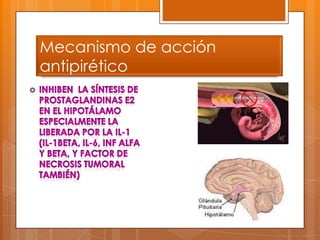 Mecanismo de acción
antipirético
 